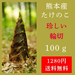 yʌzF{Y ֐؂肽̂ y ̂ ^PmR |̎q ̂ ̂ F{Yz