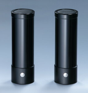 TD-81 myPod8 iXs[J[2{Zbgj