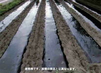 楽天市場】穴あき 黒マルチ 45の通販