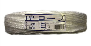 PP[vF4mm x 300mnHPPЂבЂʌpבpzp|p02P01Oct16