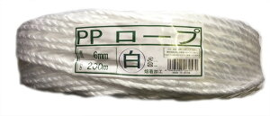 PP[vF6mm x 200mnHPPЂבЂʌpבpzp|p02P18Jun16
