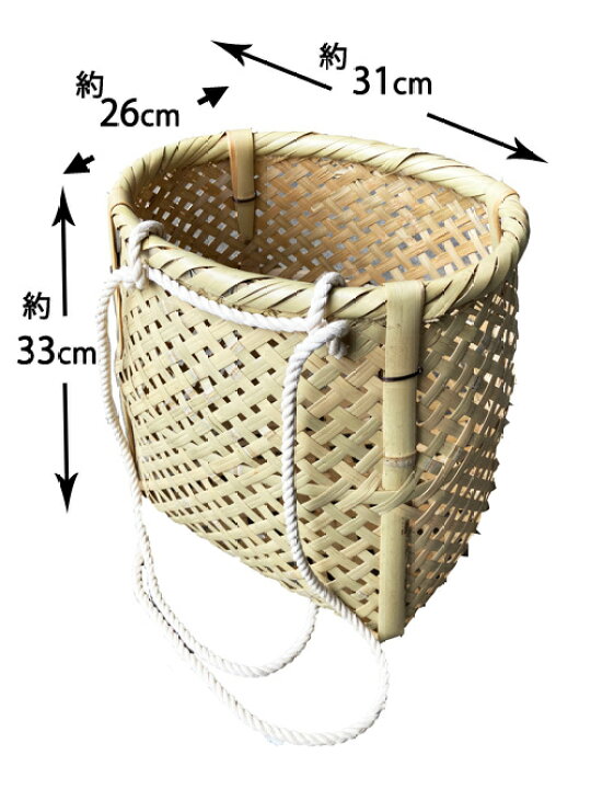 390円 高級 立山水系天然 野生 たらの芽 タラの芽300g 390円 高級 立山水系天然 野生 たらの芽 タラの芽300g