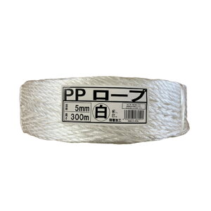 PP[vF5mm x 300mnHPPЂבЂʌpבpzp|p