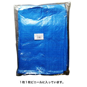 u[V[gyʁ@u[V[g3.6 x 5.4m10著