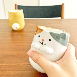 Ƃ蓒ۂ˂ Č Rbv 킢  Mtg DECOLE