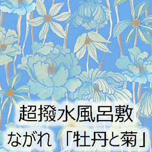 C~ȂuOƋev96cmyqz D ӂ낵 |GXez
