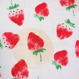 y3ȏőzĂʂuHׂ낢v_l  Xgx[ t[c 킢 { ʂ Ăʂ @ z Lb`^I  bsO 