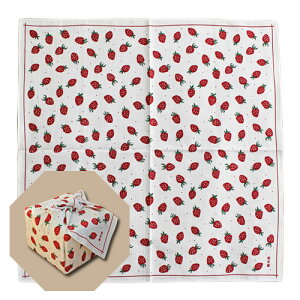 zuʂv50cm_l/ٓ/C~/ȕC~/`NX/bsO/Mtg/v[g/o_i/PCX