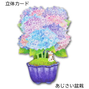 Ẵ̗J[hu~́v |bvAbvJ[h ړIJ[h bZ[WJ[h  C _CJbg t z[}[N