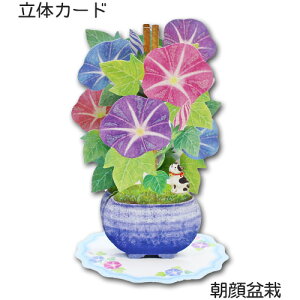 Ẵ̗J[hu~́v   |bvAbvJ[h ړIJ[h bZ[WJ[h  C _CJbg t z[}[N