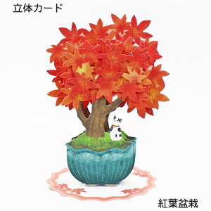 H̗̃J[hugt~́v|bvAbvJ[h ړIJ[h bZ[WJ[h G߂̂ J[h  C _CJbg t z[}[N