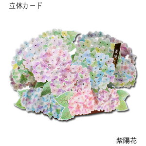 ĕ|bvAbvJ[huzԁṽJ[h ړIJ[h bZ[WJ[h R i  C `O t APJ