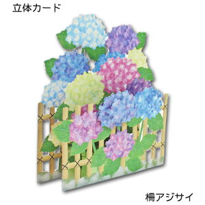 Ẵ̗J[huAWTCv   |bvAbvJ[h ړIJ[h bZ[WJ[h  C _CJbg t z[}[N