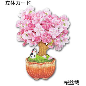 t̗̃J[hu~́v |bvAbvJ[h ړIJ[h bZ[WJ[h  C _CJbg t z[}[N