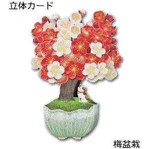 t̗̃J[hu~~́v|bvAbvJ[h ړIJ[h bZ[WJ[h  C _CJbg t z[}[N