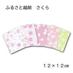 zOa ӂ邳ƉzO uv 12×12cm a Zbg bsO  a Gߕ ~ 肪 ܂莆 ܎ ݘa