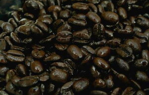 200g R[q[ R[q[ OAe} [ 蓤 ACXR[q[ GXvb\ JtFI bq   ۚnyKoshien Coffee Roastersz200 ςȂ [ւ̏ꍇ  