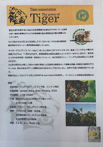 Tigers pecial BLEND 500g  蓤Zbg (Tiger_blend_) R[q[ R[q[ 蓤 bq / ςȂ [ [ wł܂ ^CK[ uh