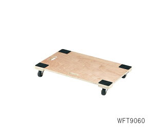ؐ 900×600×135mm WFT9060
