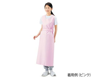 pGv iЂ^Cvj sN/LL 403306 LL