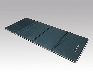 �G�N�T�T�C�Y�}�b�g H8085