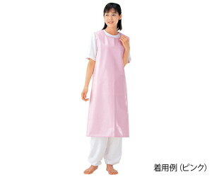 Gv iʃt@Xi[^Cvj sN^L