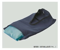 楽天市場】アズワン 指先フローズングローブ 保冷剤の通販