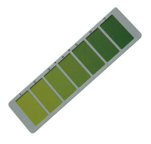 tFJ[XP[ipj CF306@xmHƁ@3-318-0945