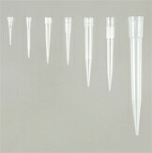 Fine�f�B�X�|�`�b�v PP�� FT-SS 1000�{��