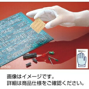 p[tBbg B0500-L-1@3-787-0055