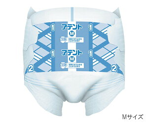 Aeg@RPAX[p[tBbge[v@M@22@Ɩp