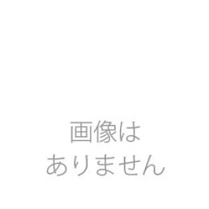 �����u�����t�B���^�[A045H047A �ŋ� 100��