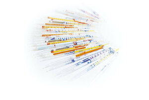 �k�쎮 �K�X���m�� 150U �C�\�v���s���A���R�[��