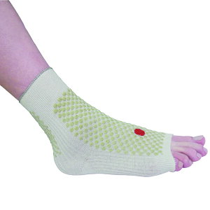 ΂̒mbbT|[^[ p2Zbg yE萔z΂̒mb܂qgɊJꂽbT|[^[