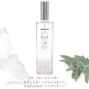 uLUCAS -JX- i{g@100mljvƓVRn[u琶܂ꂽ򉻂̂߂̃NAXv[IVR΁EANZT[ɂĂgɃVbIЂƐ邾Ŏy