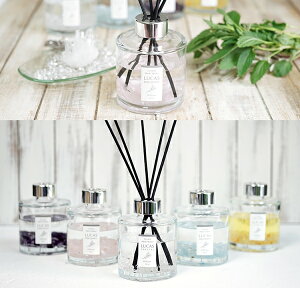 򉻃tOX JX LUCAS@fBt[U[IRE2򉻐Aƃn[uiZ[WjzB⌺ցArO͂AItBX₨XAa@ȂǂɒuĒƋ