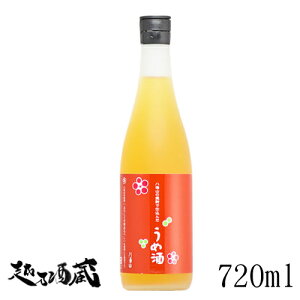 CȐĒŎd񂾔~ 720ml yCzV 싛 ~