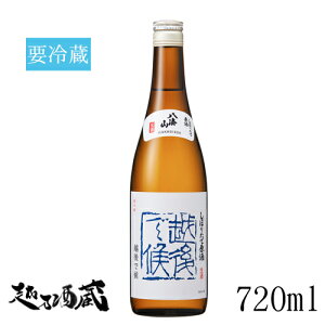 八海山 越後で候 しぼりたて原酒 720ml 【八海醸造】 新潟県 南魚沼市 清酒 日本酒 要冷蔵