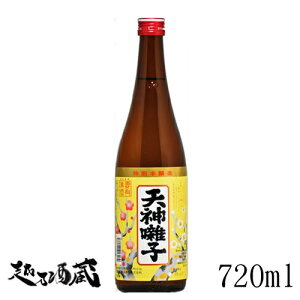 天神囃子 特別本醸造 720ml 【魚沼酒造】新潟県 十日町市 日本酒 清酒