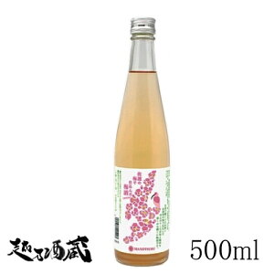 ^ n̔~Ŏd񂾔~ 500mly𑢁zV ns ~