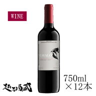 【送料無料】カヴァロ　カベルネ・ソーヴィニヨン 2025 750ml×12本　赤ワイン チリ DOセントラル・ヴァ…