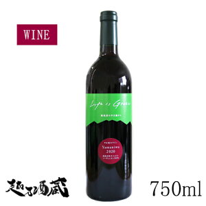 ܒ̃C JxlE\[Bj2021  750ml yGEO[t@[z{ V싛s 싛Y100