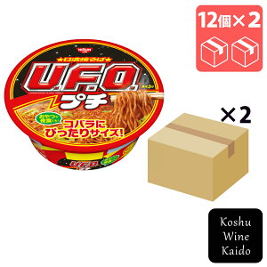 HiĂ΃v`U.F.O.×24(4902105034095)yCX^gHi/JbvĂ΁z