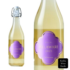 tWN[Ci[NmIg fEFA 720ml 2025 (4993574070141) s񂹕ityC/h߃Cz