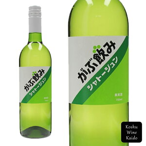 Vg[WԈ݃C  (4582138753523)