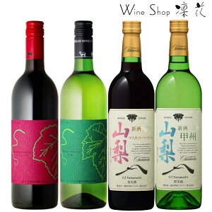 {̐V 2025 ݔ 4{Zbg R̐V V k[H[ C p[eB[ NX}X  CZbg {C ԃC C  I ƈ 