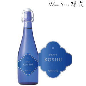 tWN[ NmIg bBh 720ml sBe[W RC bBC {C CAɂ胏CACAh