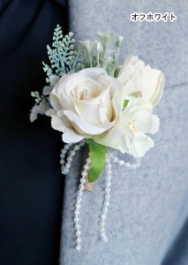 RT[W3_ȏ1_590~V3F     Ǝ w  ct ۈ牀 wZ  \ q l o i EGfBO  j̎q ̎q 