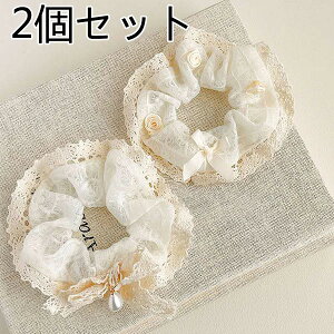 VV2ZbgVV a12cm  wAANZT[ 킢  v[g   \ t  Ǝ w lC s wAS 