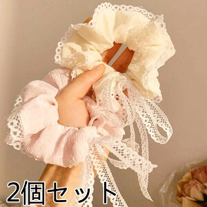 VV2ZbgVV a10cm  wAANZT[ 킢  v[g   \ t  lC s wAS l  ̎q Lk